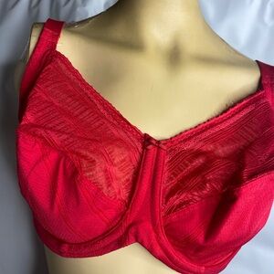 Lilyette Bold Red Underwire Bra
